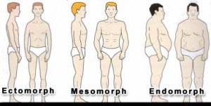 ectomorph, mesomorph, endomorph